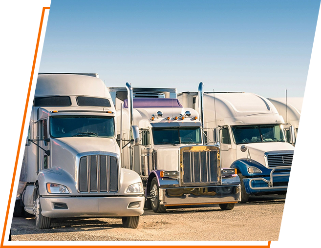 A row of white trucks parked in a lot.